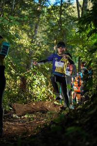 BIB: 1162, 314
                            <button type="button" onclick="openModal(19233212)" class="btn btn-primary btn-sm float-right btn-popup" data-toggle="modal" data-target=".modal-high-quality">
                        <i class="fas fa-shopping-cart"></i> Add to Cart
                    </button>
                                            <button type="button" onclick="isThisMe(19233212, true)" class="btn btn-success btn-sm float-right btn-popup btn-isme hidden" data-toggle="tooltip" data-placement="bottom" title="นี่คือรูปของคุณใช่ไหม คลิกที่นี่เพื่อเอาเข้าอัลบั้ม">
                        <i class="fas fa-plus"></i> Add to album
                    </button>
                    <button type="button" onclick="isThisMe(19233212, false)" class="btn btn-warning btn-sm float-right btn-popup btn-isnotme hidden">
                        <i class="fas fa-ban"></i> Remove from album
                    </button>